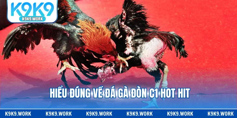 Hiểu đúng về đá gà đòn C1 hot hit